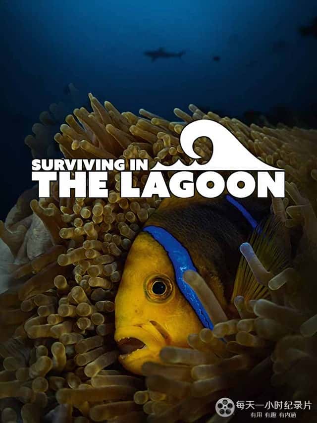 Ȼ¼Ƭ֮ / Surviving in the Lagoon-Ѹ