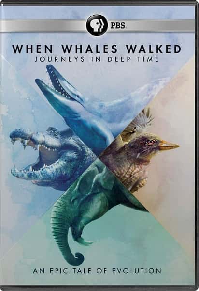 PBSȻ¼Ƭߵʱʱ֮ / When Whales Walked: Journeys in Deep Time-Ѹ