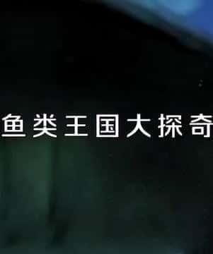 CCTV自然风光纪录片《鱼类王国大探奇 / 鱼类王国大探奇》-纪录片资源1080P/720P/360P高清标清网盘迅雷下载