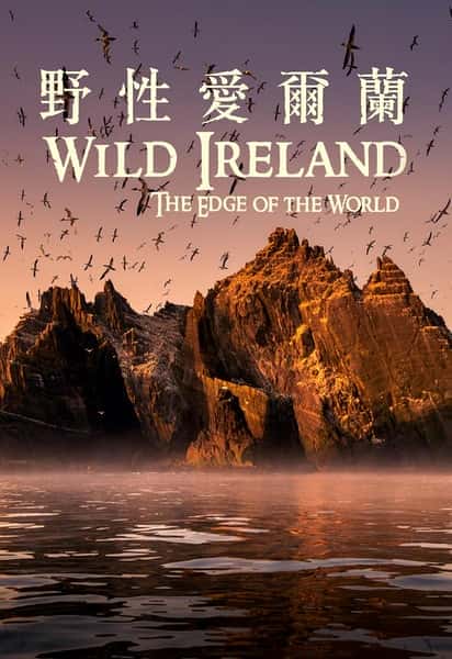 BBC探索纪录片《狂野爱尔兰：世界边缘 / Wild Ireland:The Edge of the World》-纪录片资源1080P/720P/360P高清标清网盘迅雷下载