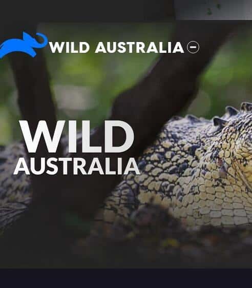 ҵм¼ƬҰ԰Ĵ / Wild Australi-Ѹ