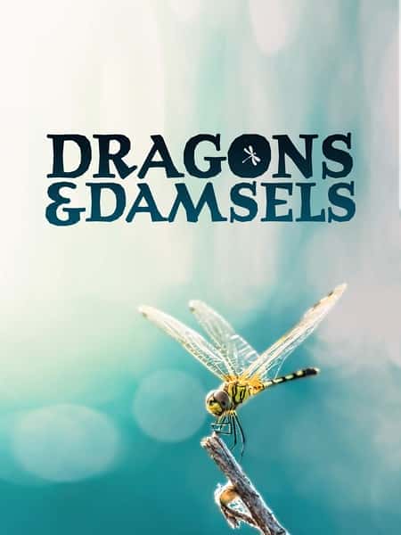 其他自然风光纪录片《蜻蜓与豆娘的生存密码 / Dragons &amp; Damsels》-纪录片资源1080P/720P/360P高清标清网盘迅雷下载