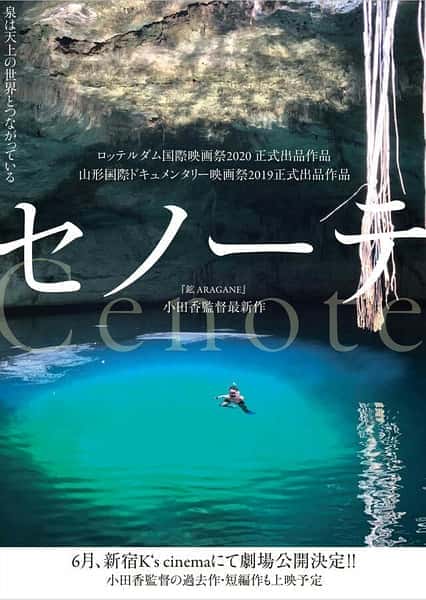 其他旅行纪录片《沉洞泉 / セノーテ》-纪录片资源1080P/720P/360P高清标清网盘迅雷下载