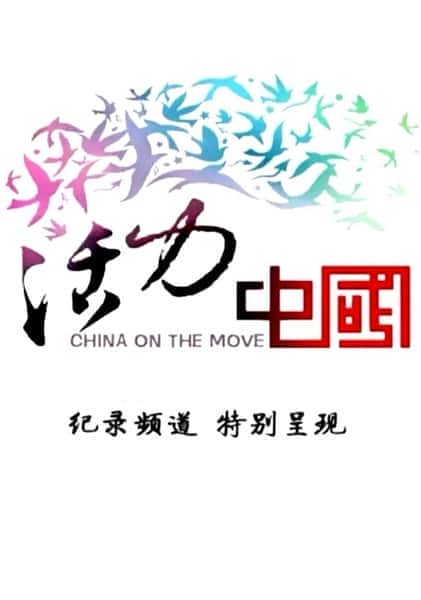 CCTV社会人文纪录片《活力中国 / China on the move》-纪录片资源1080P/720P/360P高清标清网盘迅雷下载