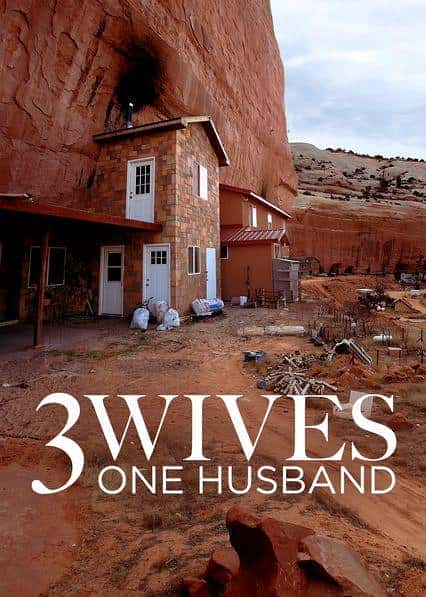 Netflix社会人文纪录片《三妻一夫 / Three Wives One Husband / 齐人一家》-纪录片资源1080P/720P/360P高清标清网盘迅雷下载
