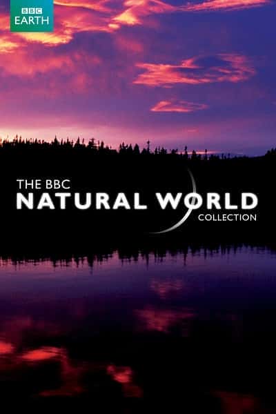 BBC自然风光纪录片《长臂猿电台 / Radio Gibbon》-纪录片资源1080P/720P/360P高清标清网盘迅雷下载
