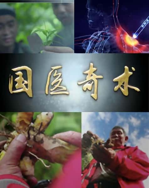 其他探索纪录片《国医奇术 / 国医奇术》-纪录片资源1080P/720P/360P高清标清网盘迅雷下载