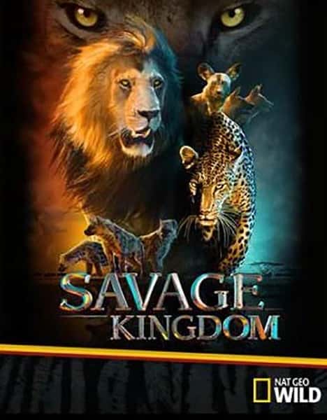 国家地理自然风光纪录片《野蛮王国 第一季 / Savage Kingdom Season 1》-纪录片资源1080P/720P/360P高清标清网盘迅雷下载