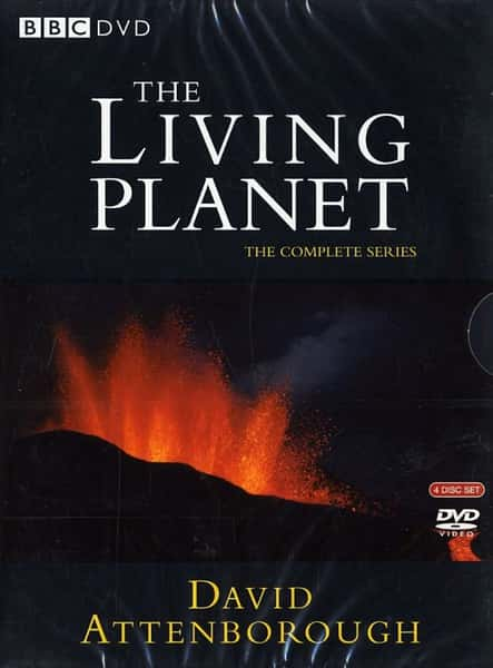 BBC̽¼Ƭ / The Living Planet-Ѹ