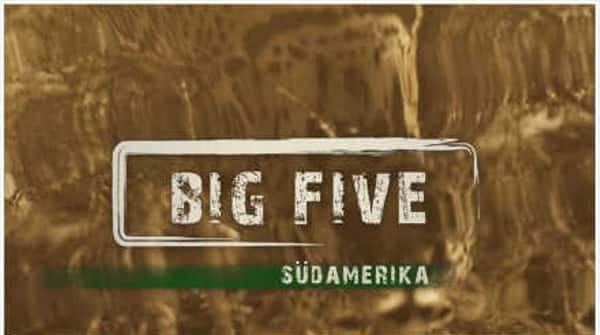 Ȼ¼Ƭ / Big Five Sdamerika-Ѹ