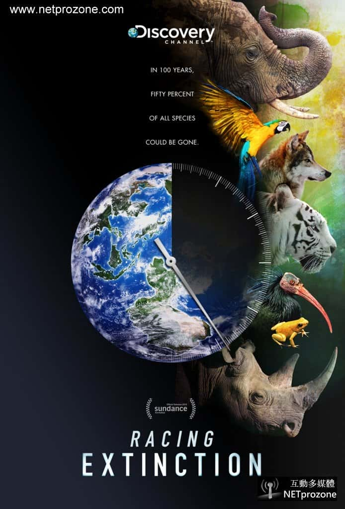 DiscoveryȻ¼Ƭ / Racing Extinction-Ѹ