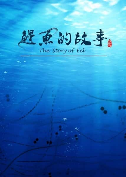 ʳ¼ƬĹ  / The Story of Eel-Ѹ