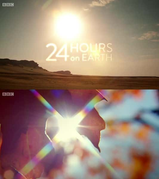 BBCȻ¼Ƭһ / 24 Hours on Earth-Ѹ