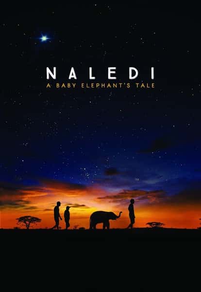 NetflixȻ¼ƬյϣһֻСĹ / Naledi: A Baby Elephant's Tale-Ѹ