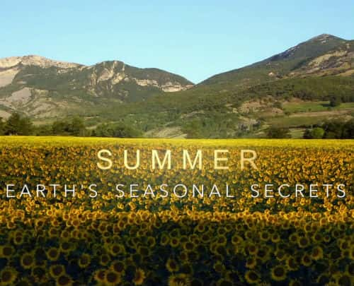 BBCȻ¼Ƭļļ / Summer Earth's seasional Secrets-Ѹ