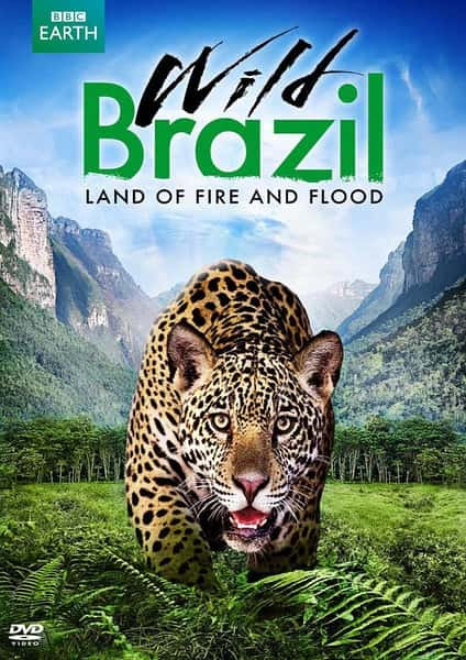 BBCȻ¼ƬҰ / Wild Brazil-Ѹ