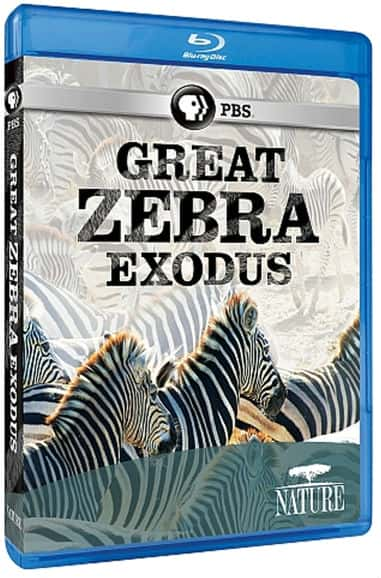 Ȼ¼Ƭ / Great Zebra Exodus-Ѹ