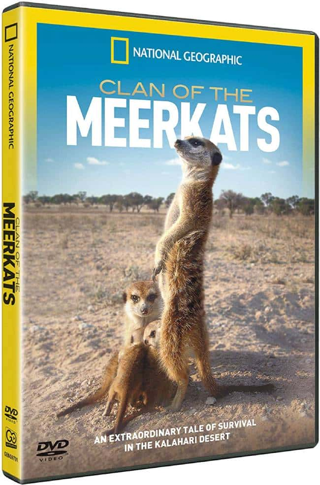 BBCȻ¼ƬB / Clan of the Meerkat-Ѹ