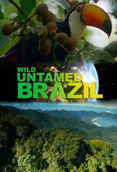 ҵȻ¼ƬҰ԰ / Wild Untamed Brazil-Ѹ