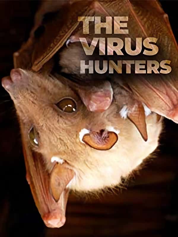 PBSѧ¼Ƭˣֹһα / Virus Hunters: Stopping The Next Outbreak-Ѹ