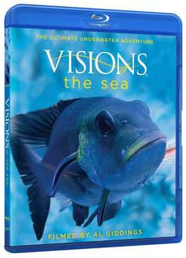 ҵȻ¼Ƭ󺣵ķ羰 / Visions of the Sea-Ѹ