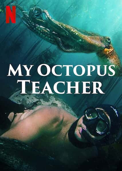 NetflixȻ¼Ƭҵʦ / My Octopus Teacher-Ѹ