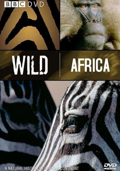 BBCȻ¼ƬҰԷޣ޳ / Wild Africa: River of life-Ѹ