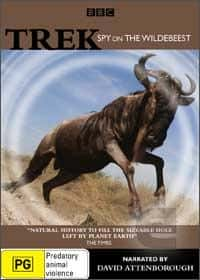 BBCȻ¼ƬǨ Ⱥļ / Trek: Spy on the Wildebeest-Ѹ