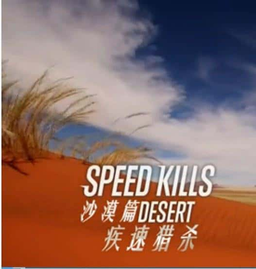 ҵȻ¼Ƭɱ / Speed Kills-Ѹ