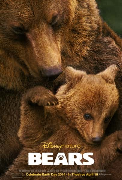 DiscoveryȻ¼Ƭ / Bears / ˹ӵܡ-Ѹ