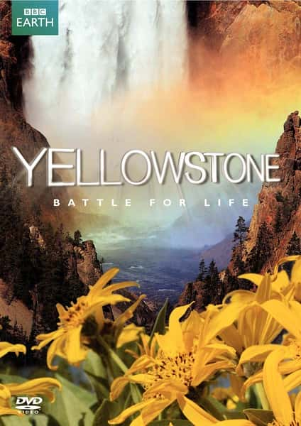 BBCм¼Ƭʯ԰ / Yellowstone-Ѹ