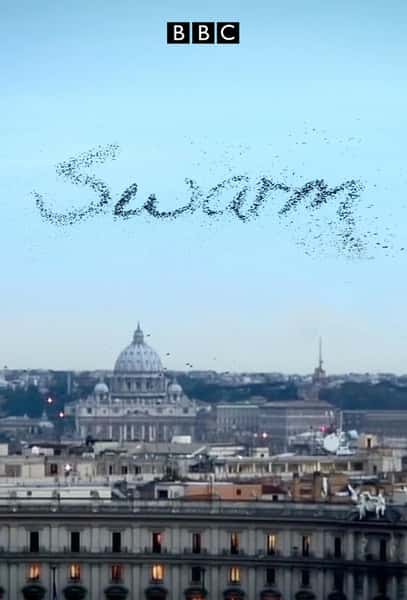 BBCȻ¼ƬȻ˼ / Swarm: Nature's Incredible Invasion-Ѹ
