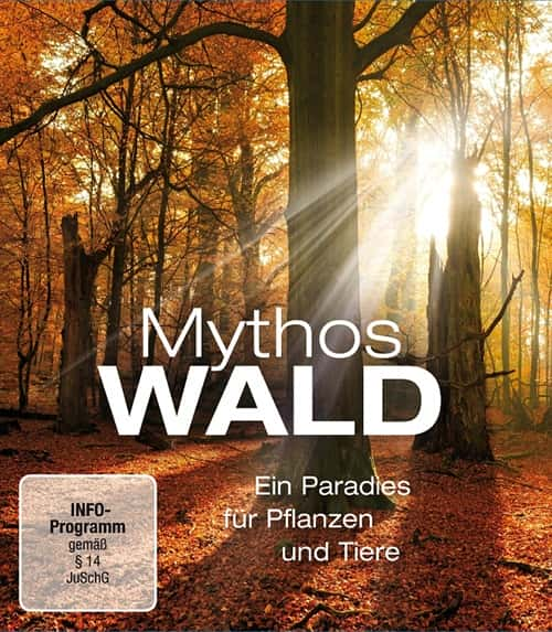 ¼Ƭ񻰵ɭ / Mythos Wald-Ѹ