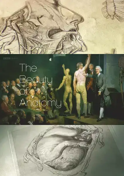 BBCѧ¼Ƭ֮ / The Beauty of Anatomy-Ѹ