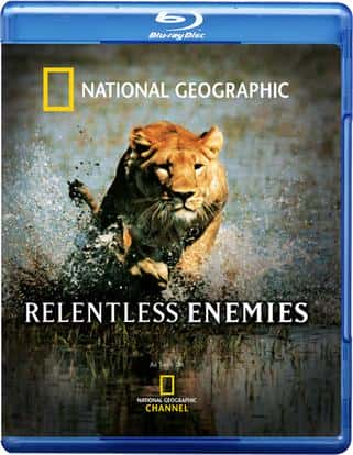 ҵȻ¼Ƭ޵ / Relentless Enemies-Ѹ