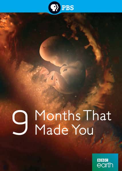 BBC̽¼Ƭ̥ / The Nine Months That Made You-Ѹ