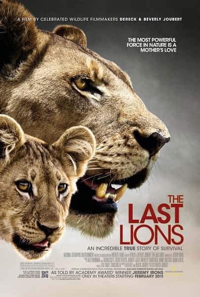 PBSȻ¼Ƭʨ / The Last Lions-Ѹ