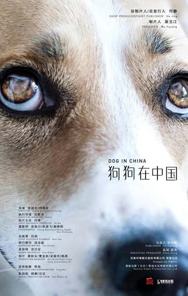 ļ¼Ƭй / dogs in china-Ѹ