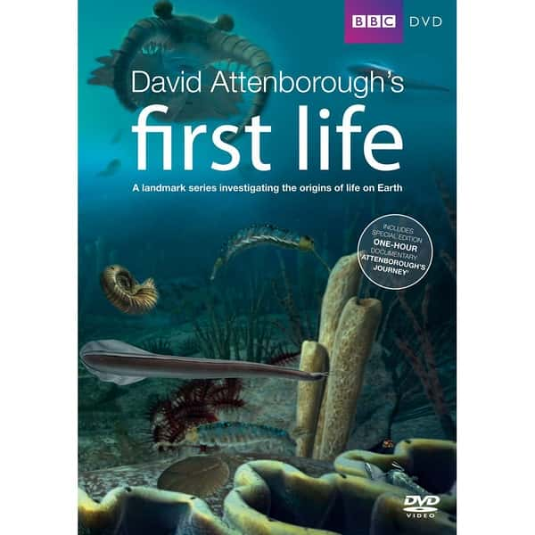 BBC̽¼ƬE / First Life-Ѹ