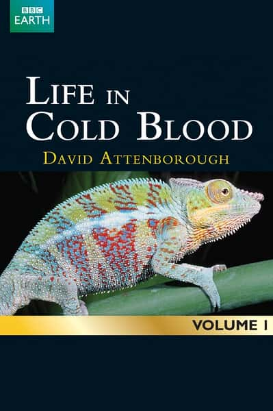 BBC̽¼ƬѪ / Life In Cold Blood-Ѹ