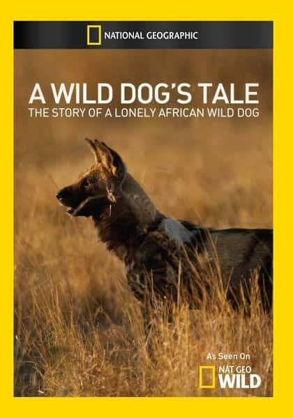 ҵȻ¼ƬȮ / A Wild Dog's Tale-Ѹ