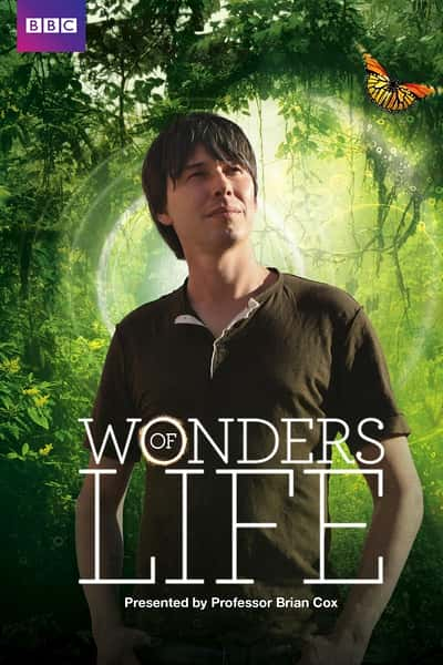 BBCȻ¼Ƭ漣 / Wonders of Life-Ѹ