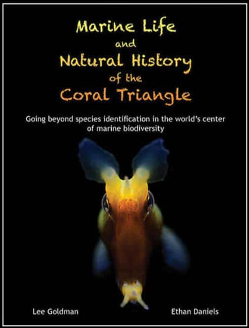 DiscoveryȻ¼Ƭɺ / The Coral Triangle-Ѹ