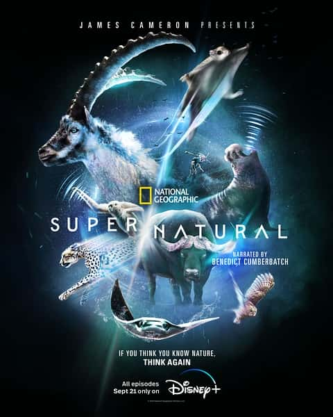 ҵȻ¼Ƭ/Ȼ / Super/Natural-Ѹ