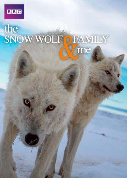 BBCȻ¼ƬҺѩǼ / Snow Wolf Family and Me-Ѹ
