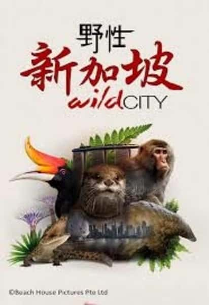 Ȼ¼ƬҰ¼ / Wild City-Ѹ