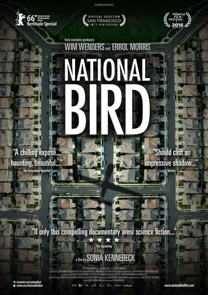 ¼¼Ƭ / National Bird-Ѹ