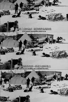 ʷ¼Ƭ̺ţɳ˶ٵĴϼԶ / The Endurance: Shackleton's Legendary Antarctic Expedition-Ѹ