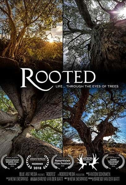 Ȼ¼Ƭ֮  / Rooted-Ѹ