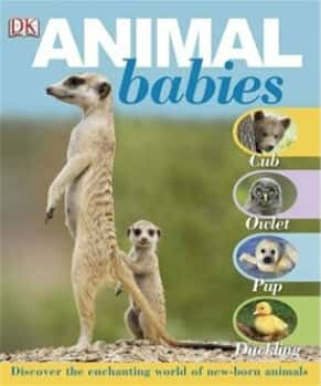 BBCȻ¼Ƭﱦ / Animal Babies-Ѹ